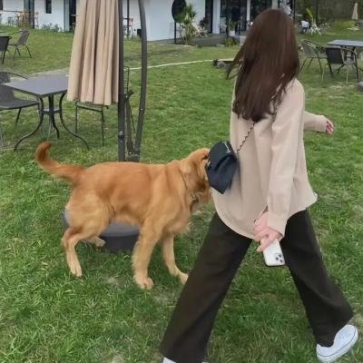 黑白迷宫